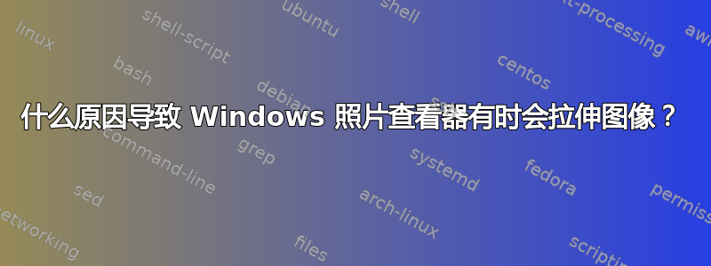 什么原因导致 Windows 照片查看器有时会拉伸图像？