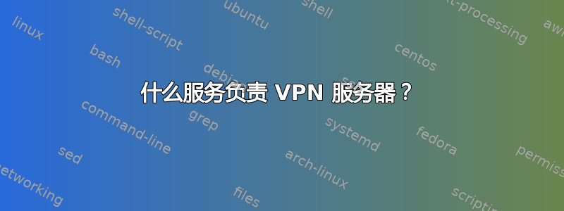 什么服务负责 VPN 服务器？