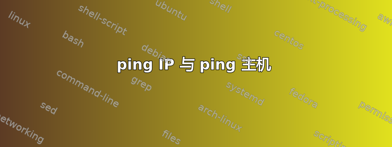 ping IP 与 ping 主机