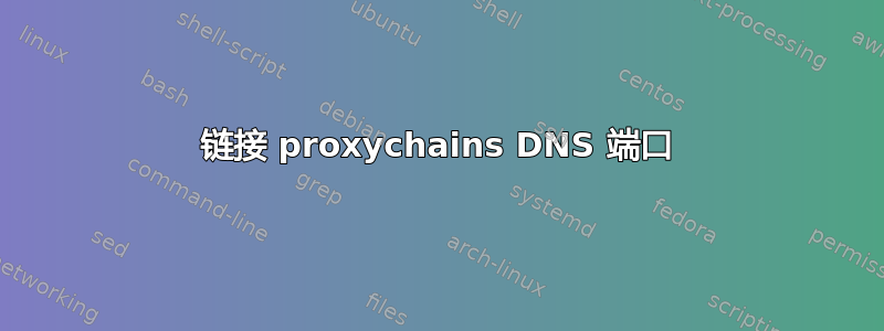 链接 proxychains DNS 端口