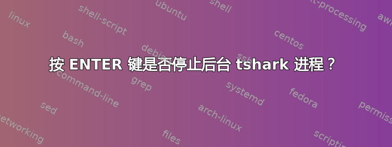 按 ENTER 键是否停止后台 tshark 进程？