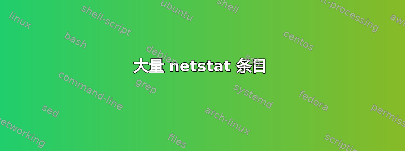 大量 netstat 条目