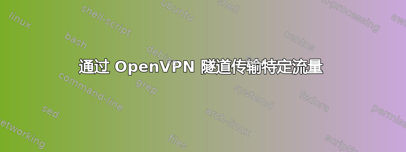 通过 OpenVPN 隧道传输特定流量