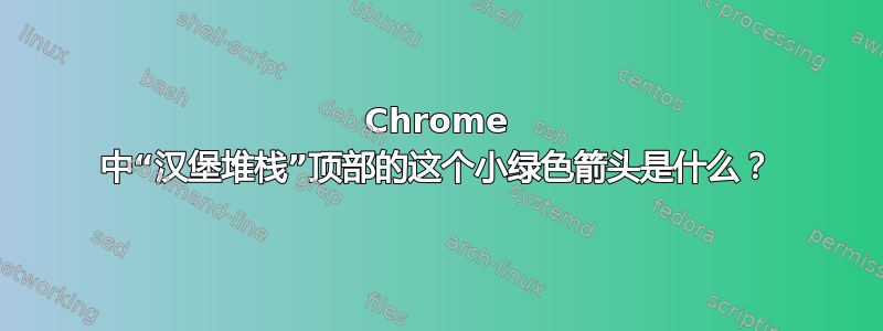 Chrome 中“汉堡堆栈”顶部的这个小绿色箭头是什么？