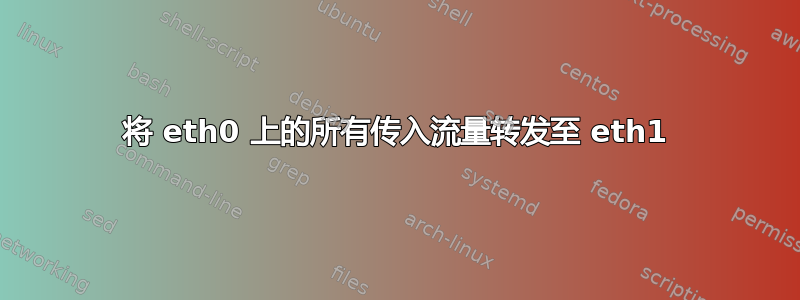 将 eth0 上的所有传入流量转发至 eth1