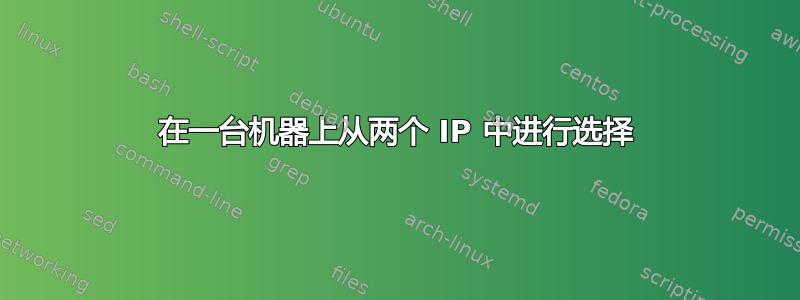 在一台机器上从两个 IP 中进行选择