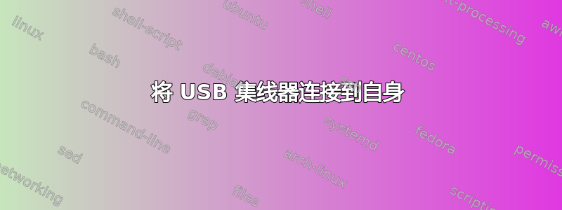 将 USB 集线器连接到自身