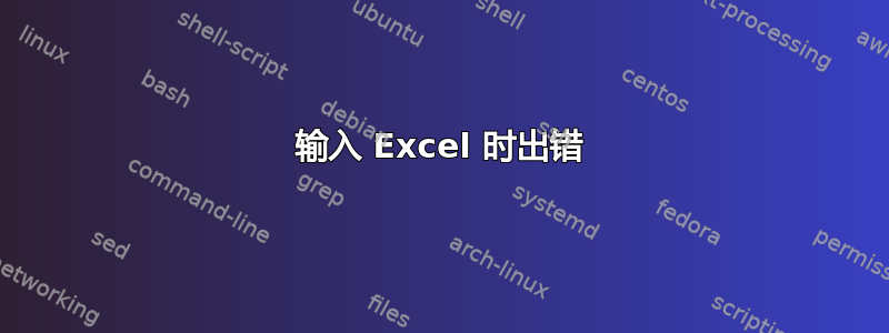 输入 Excel 时出错