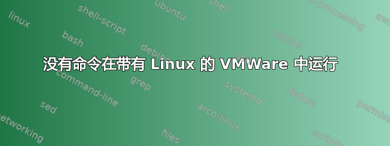 没有命令在带有 Linux 的 VMWare 中运行 