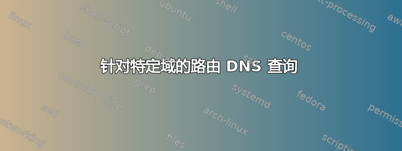 针对特定域的路由 DNS 查询