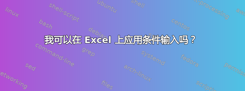 我可以在 Excel 上应用条件输入吗？