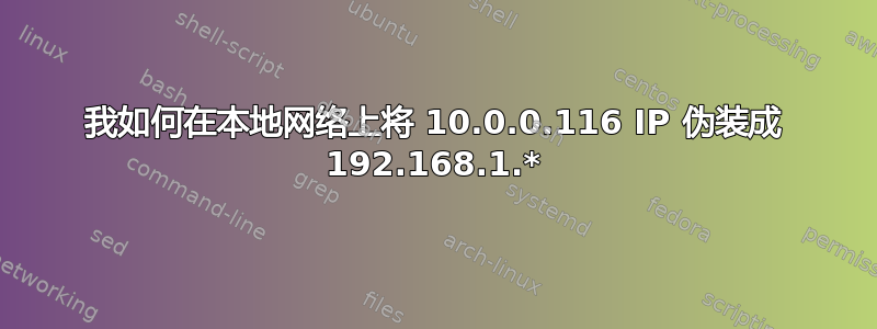 我如何在本地网络上将 10.0.0.116 IP 伪装成 192.168.1.*