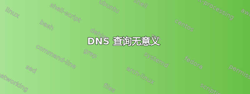 DNS 查询无意义