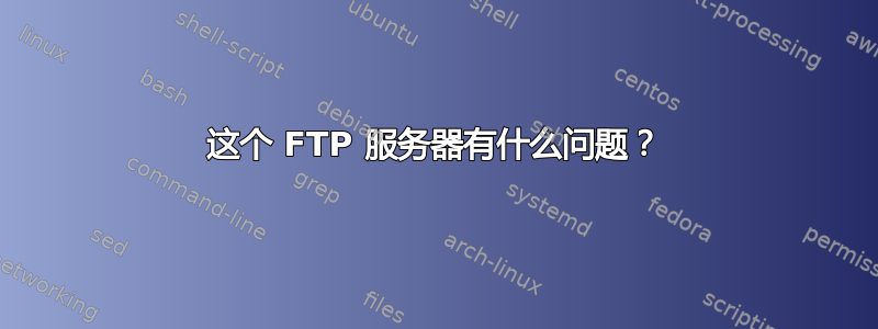 这个 FTP 服务器有什么问题？