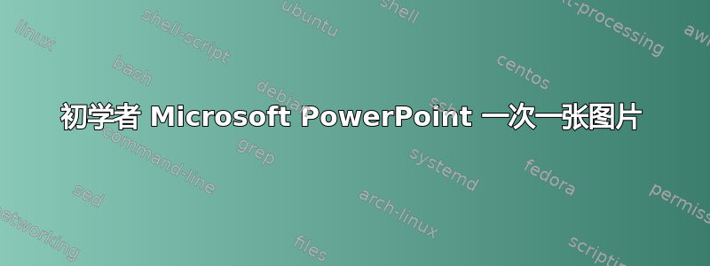 初学者 Microsoft PowerPoint 一次一张图片