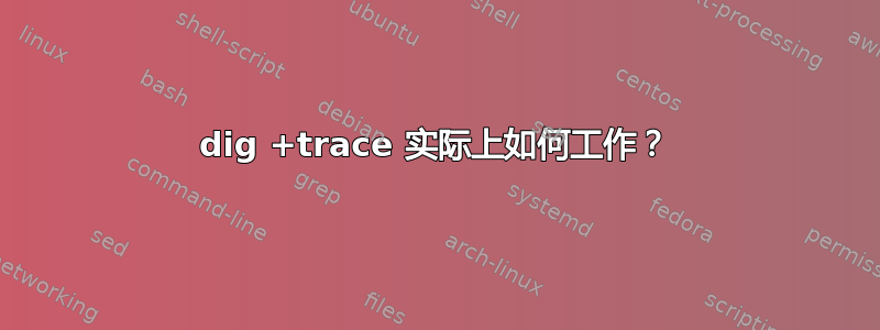 dig +trace 实际上如何工作？