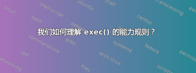 我们如何理解 exec() 的能力规则？