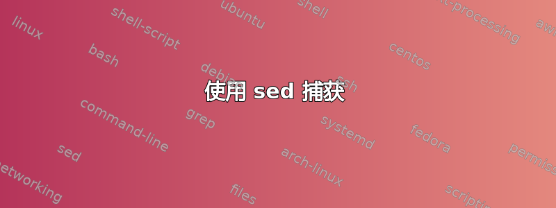 使用 sed 捕获