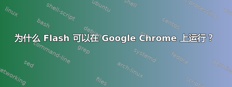 为什么 Flash 可以在 Google Chrome 上运行？