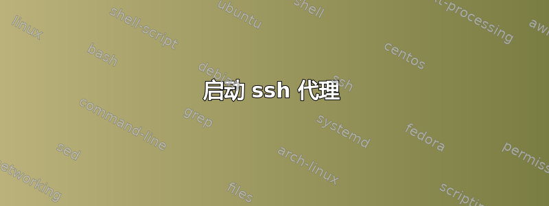 启动 ssh 代理