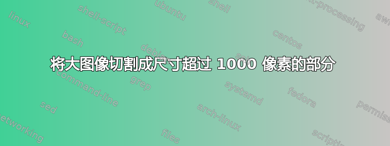 将大图像切割成尺寸超过 1000 像素的部分