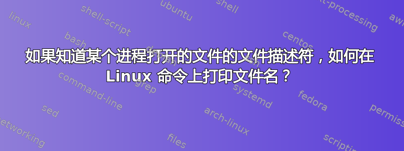 如果知道某个进程打开的文件的文件描述符，如何在 Linux 命令上打印文件名？