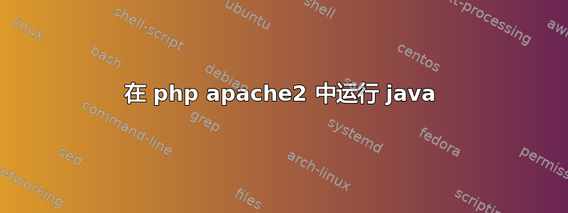 在 php apache2 中运行 java