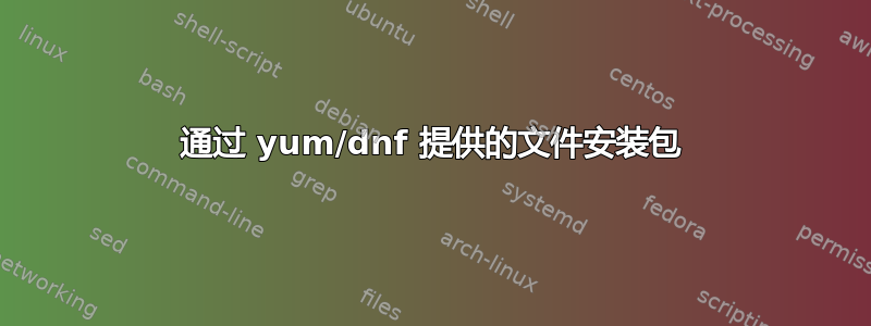 通过 yum/dnf 提供的文件安装包