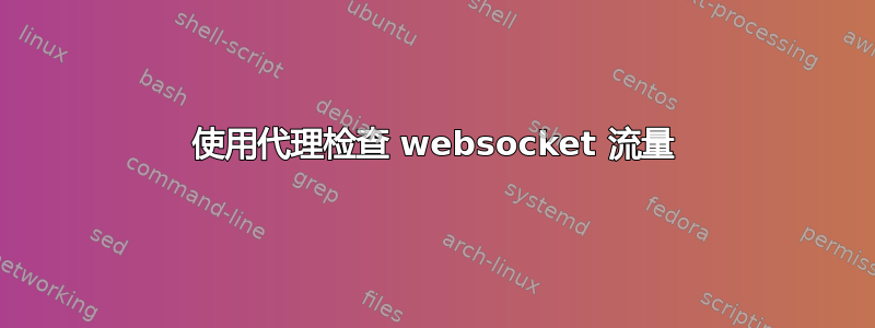 使用代理检查 websocket 流量