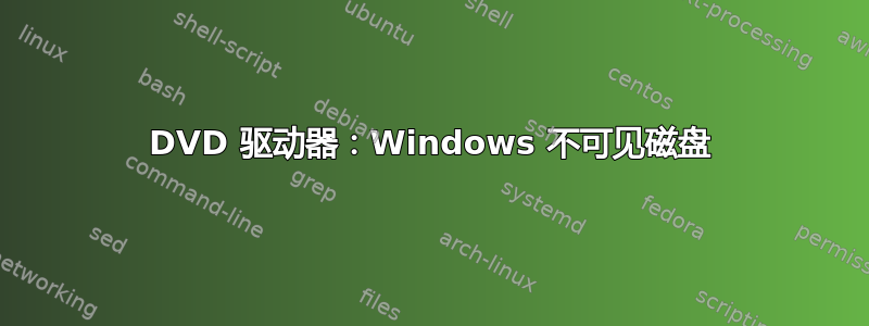 DVD 驱动器：Windows 不可见磁盘