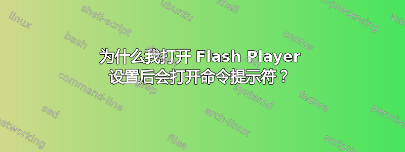 为什么我打开 Flash Player 设置后会打开命令提示符？