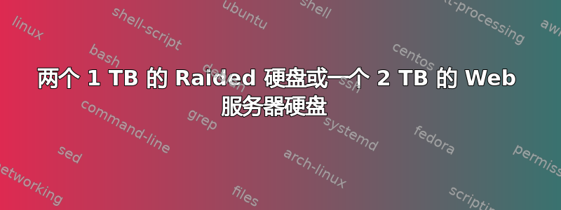 两个 1 TB 的 Raided 硬盘或一个 2 TB 的 Web 服务器硬盘 