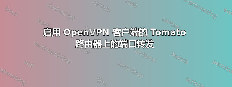 启用 OpenVPN 客户端的 Tomato 路由器上的端口转发