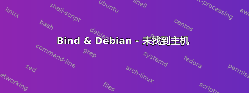 Bind & Debian - 未找到主机