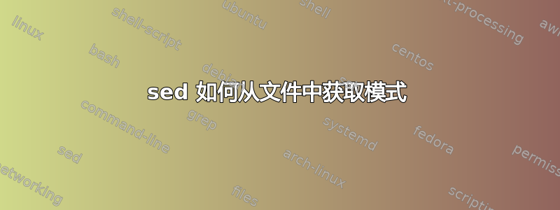 sed 如何从文件中获取模式