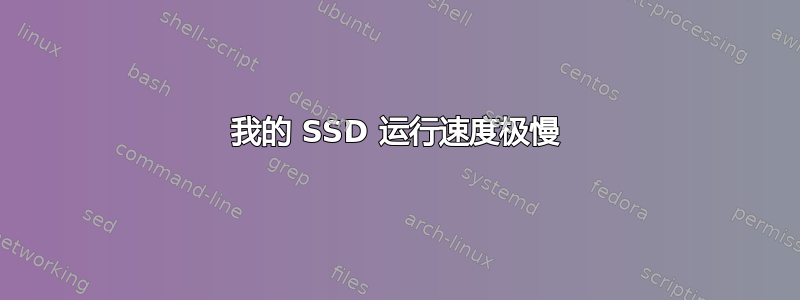 我的 SSD 运行速度极慢