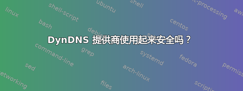 DynDNS 提供商使用起来安全吗？