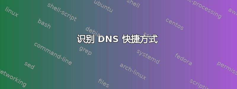 识别 DNS​​ 快捷方式