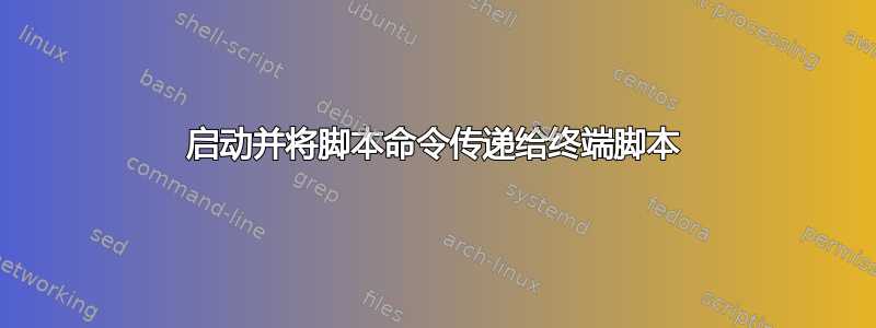 启动并将脚本命令传递给终端脚本