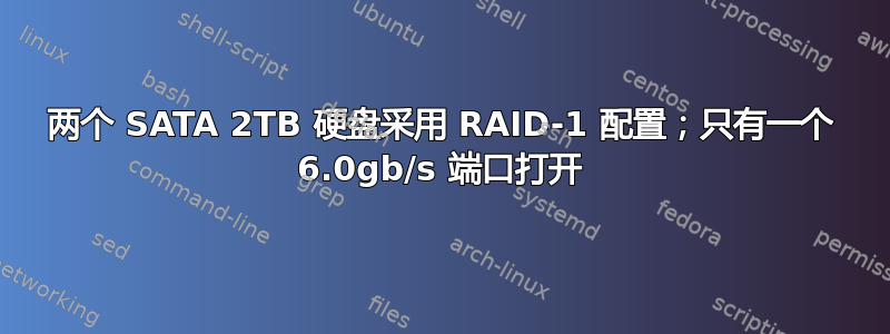 两个 SATA 2TB 硬盘采用 RAID-1 配置；只有一个 6.0gb/s 端口打开