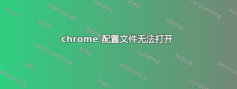 chrome 配置文件无法打开