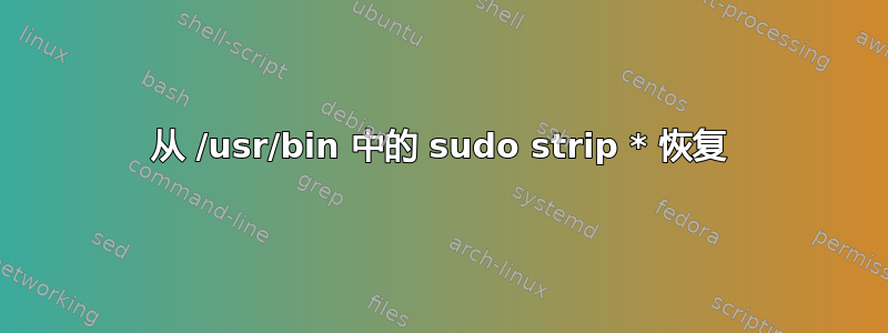 从 /usr/bin 中的 sudo strip * 恢复