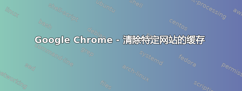 Google Chrome - 清除特定网站的缓存