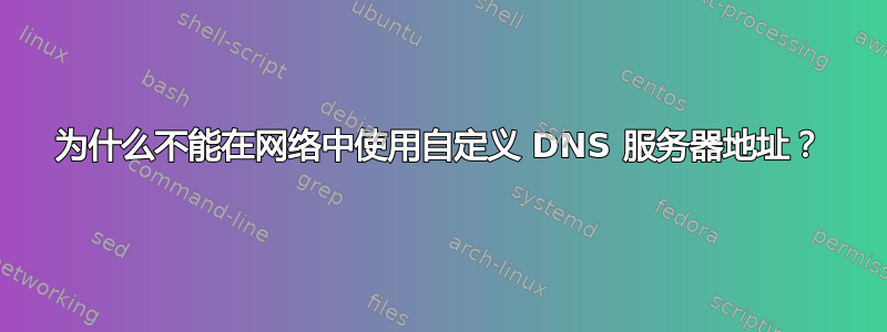 为什么不能在网络中使用自定义 DNS 服务器地址？