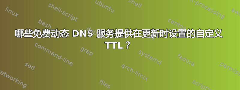 哪些免费动态 DNS 服务提供在更新时设置的自定义 TTL？