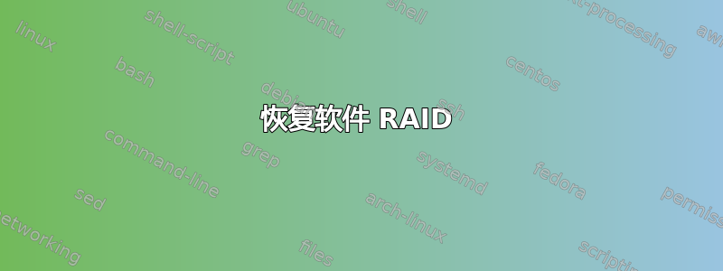 恢复软件 RAID