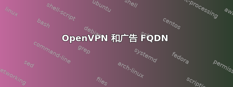 OpenVPN 和广告 FQDN