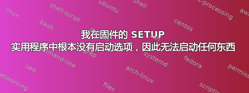 我在固件的 SETUP 实用程序中根本没有启动选项，因此无法启动任何东西