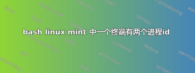 bash linux mint 中一个终端有两个进程id