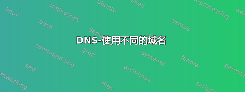 DNS-使用不同的域名